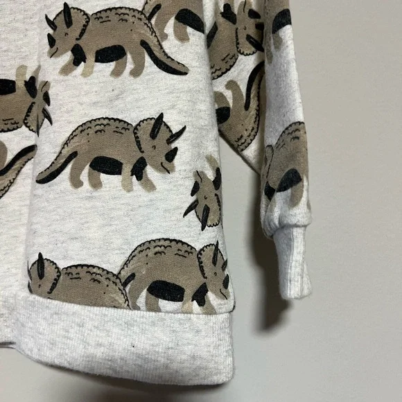 Carter's Size 18 Months Gray Brown Dinosaur Pull Over Long Sleeve Sweatshirt - Picture 3 of 7